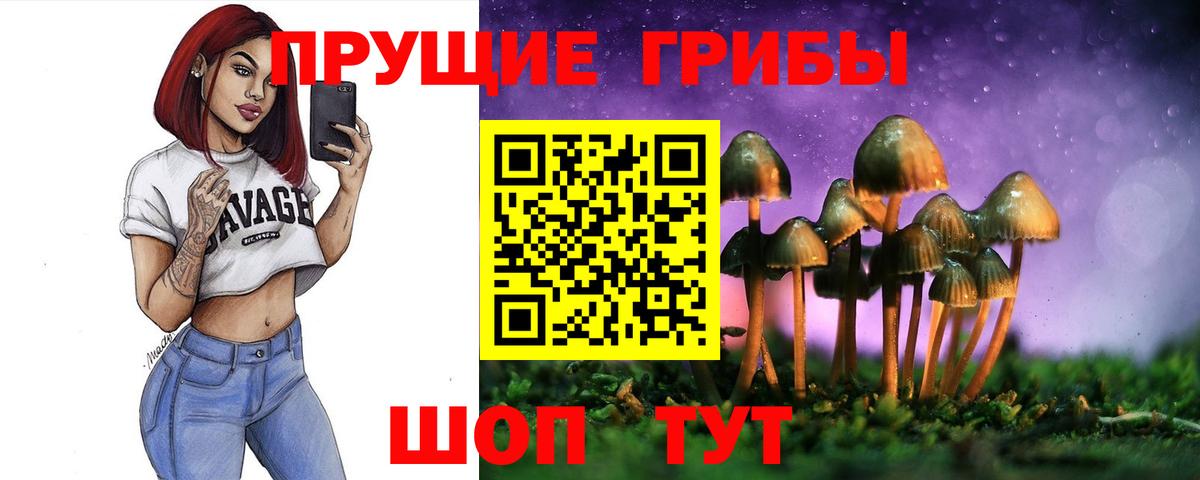 Псилоцибиновые грибы Cubensis  Вход с VPN  Изобильный 